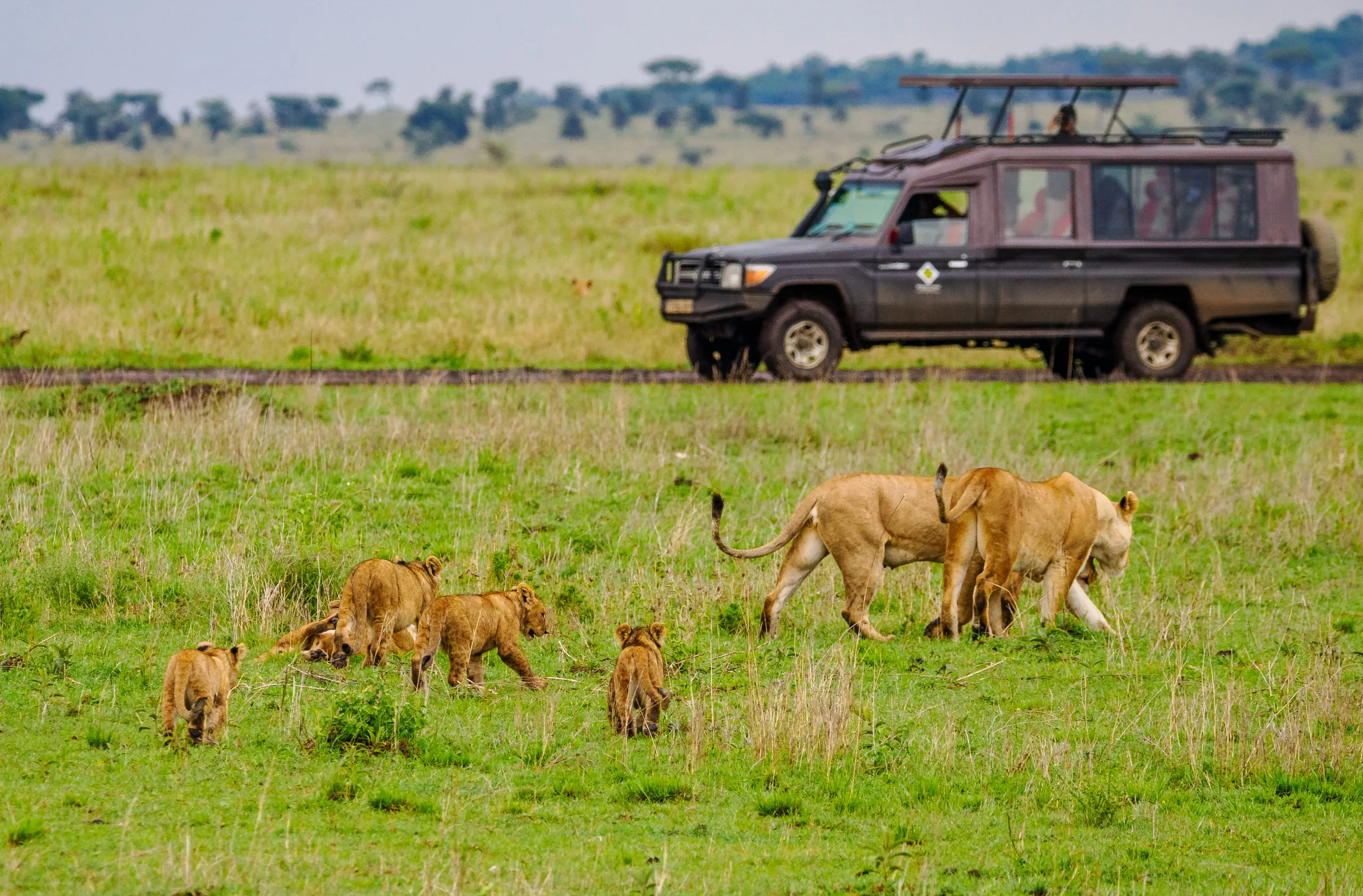 East African Grand 10 Day Safari - Kenya & Tanzania Combined