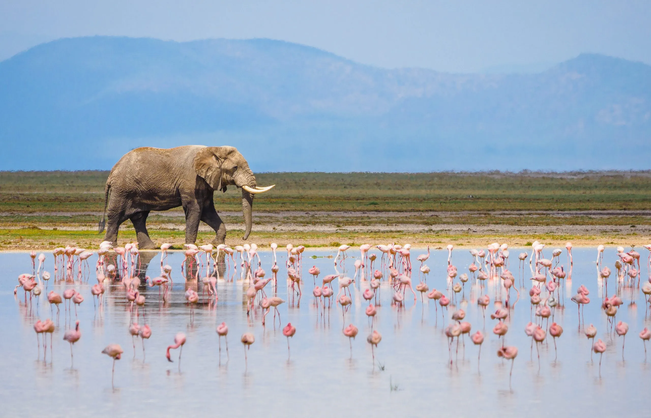 Kenya safari 10 day itinerary